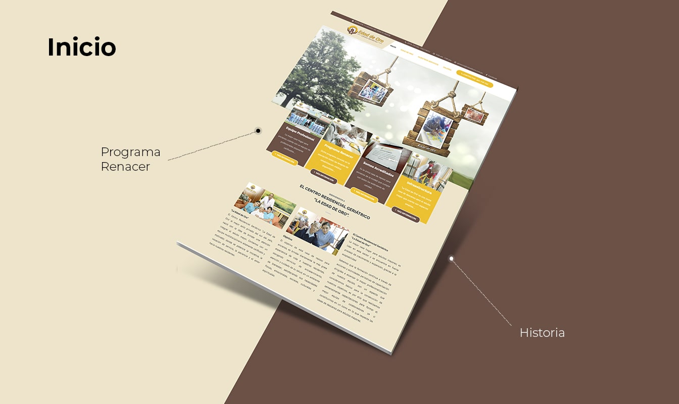 Desarrollo de páginas web en Arequipa