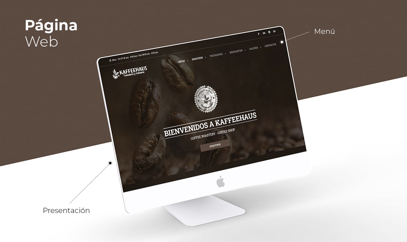 Desarrollo de páginas web en Arequipa