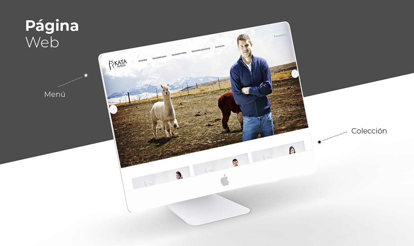 Desarrollo de páginas web en Arequipa