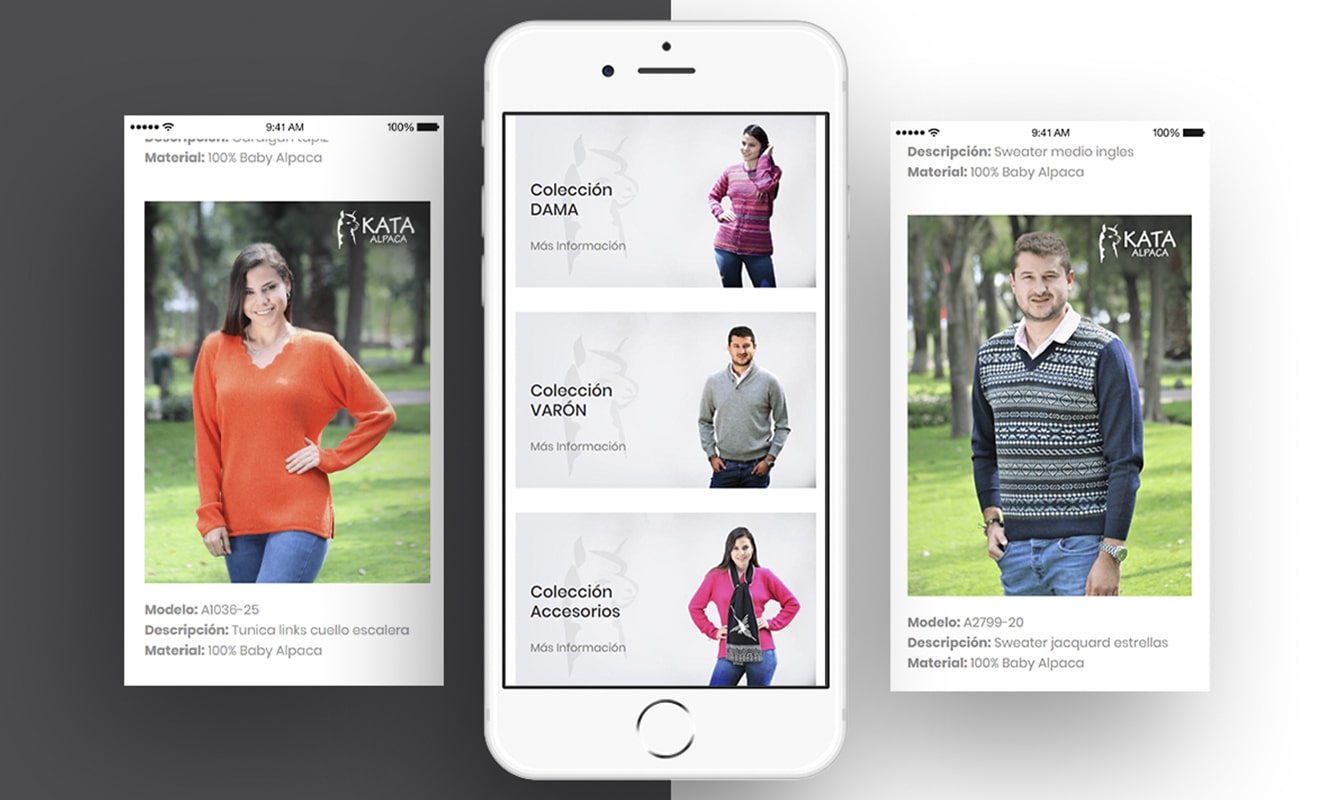 Desarrollo de páginas web en Arequipa