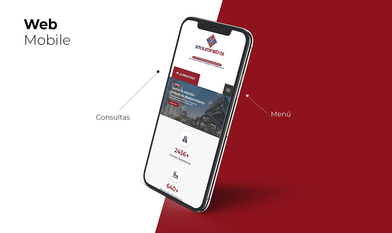 Desarrollo de páginas web en Arequipa