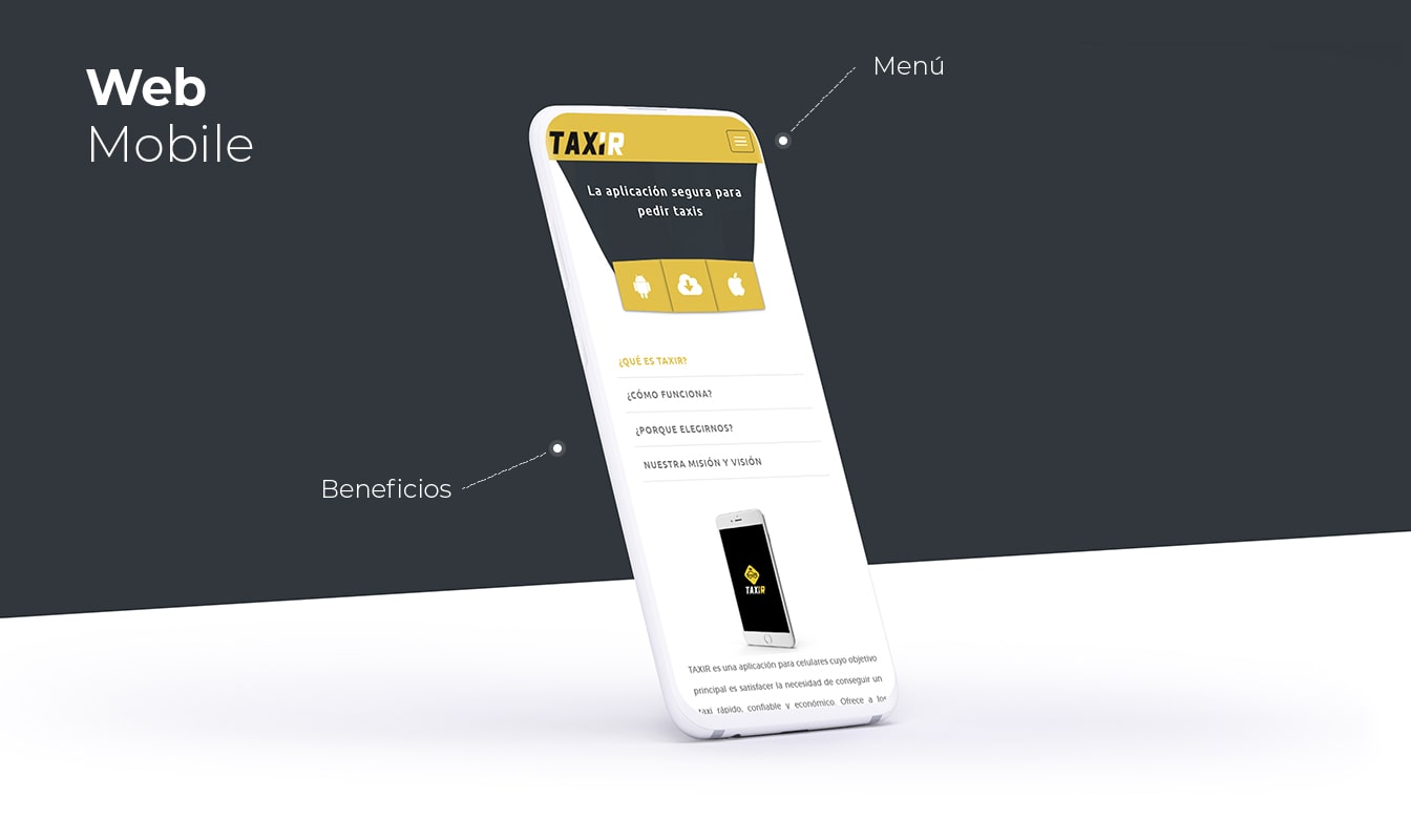 Desarrollo de páginas web en Arequipa