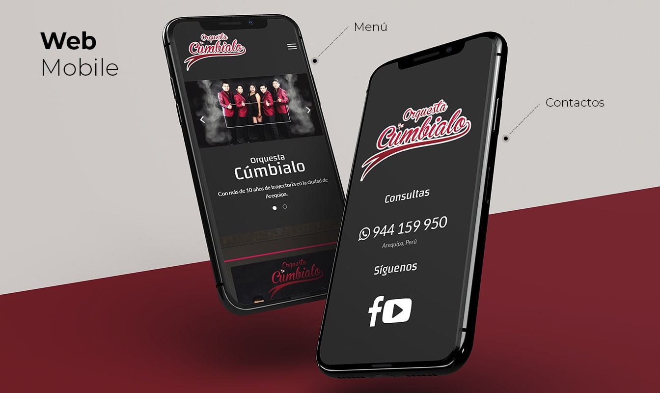 Desarrollo de páginas web en Arequipa